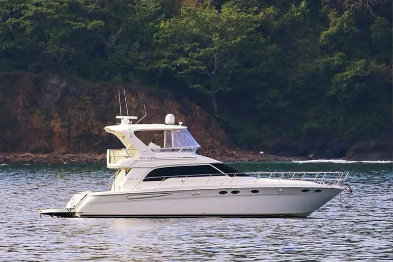 Sea Ray Catamaran Jaco